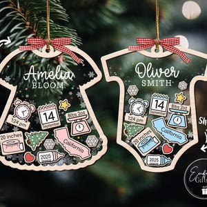 Custom Baby&#39;s First Christmas Ornament, Baby 1st Christmas Ornament, New Baby Shaker, Newborn Gift, 4D Shake Babies Ornament, Baby Keepsake