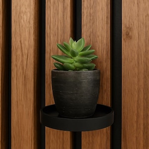 Puede incluir: Una pequeña planta suculenta verde en una maceta de cerámica gris oscuro, apoyada en un estante de metal negro. El estante está montado en una pared de madera con tablones verticales y detalles en negro. Las hojas de la planta son de un verde vibrante.