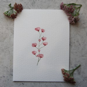 Cinco tarjetas de acuarela floral rosa pintadas individualmente a mano + sobres
