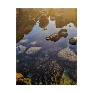 California Central Coast Tidal Pools Photo