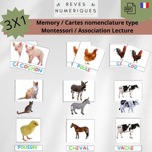 Giochi di memoria 36 animali da fattoria - Carte nomenclatura Montessori - Associazione di lettura di tipo Celine Alvarez - Attività di promemoria educativo