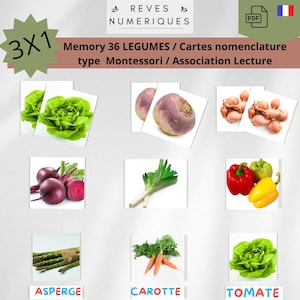 Memory 36 Légumes - Carte nomenclature - Méthode Montessori et Céline Alvarez - Développement et Apprentissage - Jeu Éducatif pour Enfants