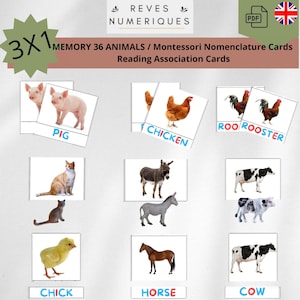 Jeux Memory 36 Animaux de la ferme - Cartes de Nomenclature Montessori - Association Lecture - Activité mémo Educatif - ANGLAIS