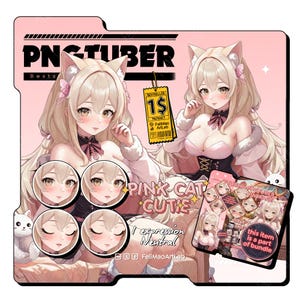 PNGTuber Gatto rosa carino 1 Espressione / Kawaii carino Stream Asset VTuber Personaggio estetico