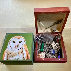May include: Two wooden boxes, one open and one closed. The closed box has a green background with a white barn owl on it. The open box has a red interior with a variety of items, including a feather, a starfish, a small bottle, and a seashell.