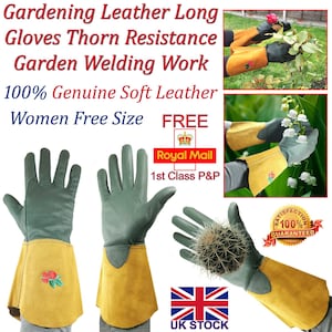 May include: Pair of long, green leather gardening gloves with yellow leather cuffs. The gloves have a thorn-resistant design and are labeled "100% Genuine Soft Leather" and "Women Free Size". The image also includes a free shipping label with the text "FREE Royal Mail 1st Class P&P".