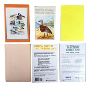 Duck, Geese, Swans & Chickens Raising Poultry and Fowl - Six Illustrated Homesteading Books image 2