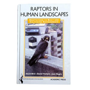 May include: A book titled "Raptors in Human Landscapes" with a photo of a falcon perched on a ledge. The book cover features text in white and yellow, with the authors' names and the publisher's name at the bottom.