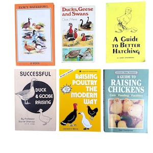 Duck, Geese, Swans & Chickens Raising Poultry and Fowl - Six Illustrated Homesteading Books image 1