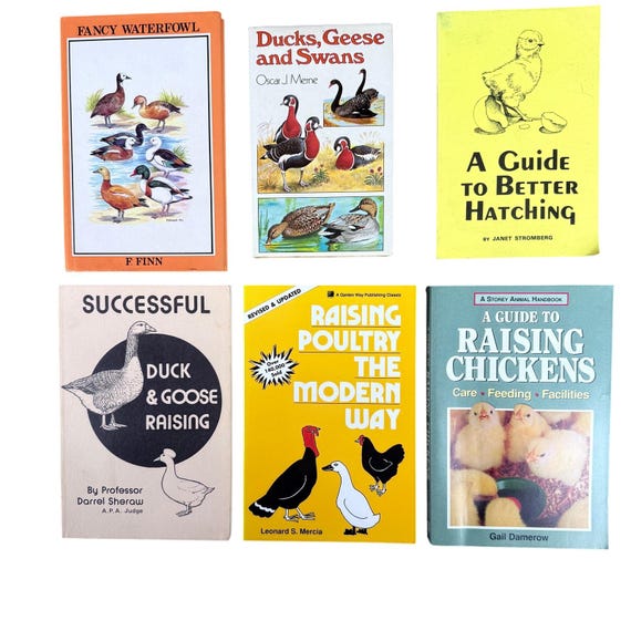 Duck, Geese, Swans & Chickens Raising Poultry and Fowl - Six Illustrated Homesteading Books