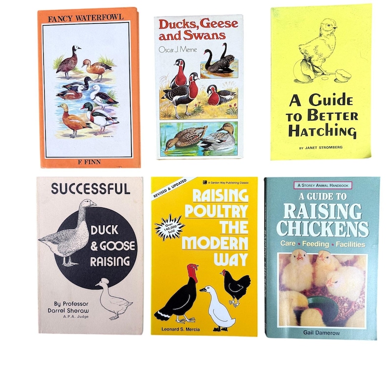 Duck, Geese, Swans & Chickens Raising Poultry and Fowl - Six Illustrated Homesteading Books image 1