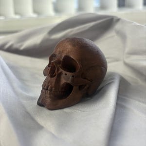 Puede incluir: Una detallada figura de calavera marrón con dientes y cuencas de los ojos visibles. La calavera descansa sobre una tela gris texturizada, creando un contraste marcado. La iluminación resalta los detalles de la calavera.