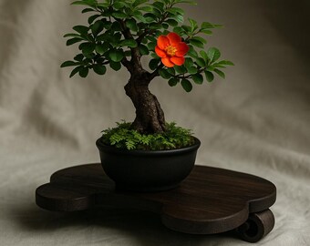 Floating Cloud Japanese Bonsai Stand