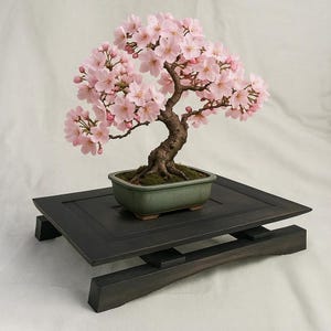 Elevation Bonsai Stand - Japanisch inspirierte Plattform für Innenräume