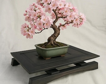 Elevation Bonsai Stand – Japanese-Inspired Platform
