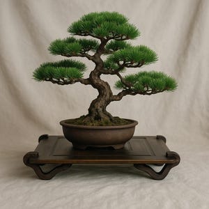 Self Standing Plant Stand