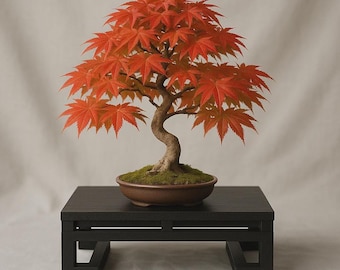 Infinite Cube Japanese Bonsai Stand