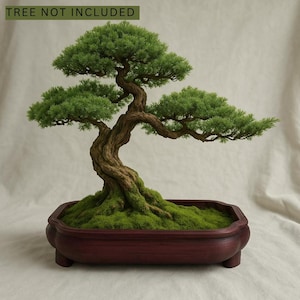 The Cloud - Japanese Bonsai Pot