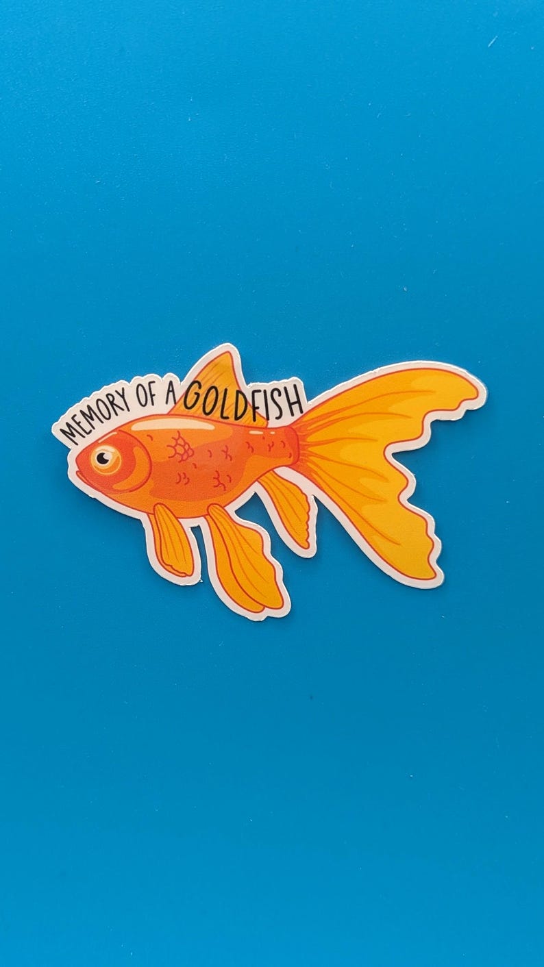 Memory of A Goldfish Sticker - Etsy
