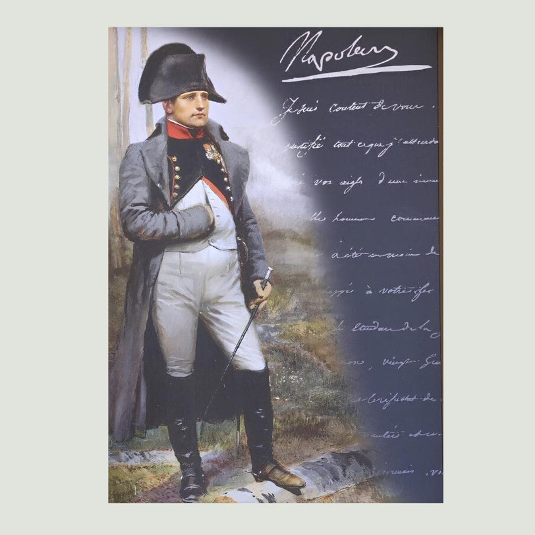 Plaque Murale Métal Napoléon Bonaparte - 30 X 20 Cm - Décoration Historique