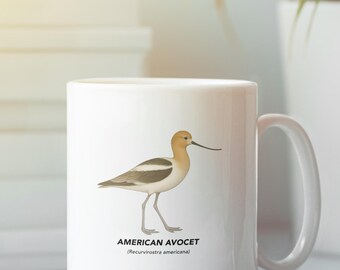 May include: White ceramic mug featuring an illustration of an American Avocet bird. The bird has a tan head, a black beak, and a white and brown body. The text "AMERICAN AVOCET" and the scientific name are below the bird.