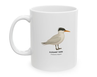 May include: A white ceramic mug featuring a detailed illustration of an Elegant Tern bird with a black crest and orange beak. Below the bird, the text reads ELEGANT TERN and (Thalasseus elegans) in black, sans-serif capital and lowercase letters.