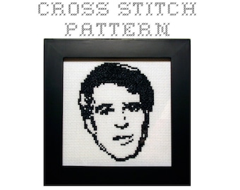 DIY Steve Martin - .pdf Original Cross Stitch Pattern - Instant Download