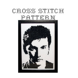 DIY The Tenth Doctor - Dr Who - .pdf Original Cross Stitch Pattern - Instant Download