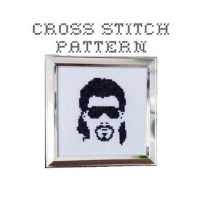 DIY Kenny Powers .pdf Original Cross Stitch Pattern Instant Download image 1