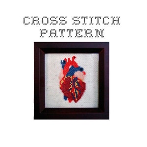 DIY Anatomical Heart .pdf Original Cross Stitch Pattern Instant Download image 1