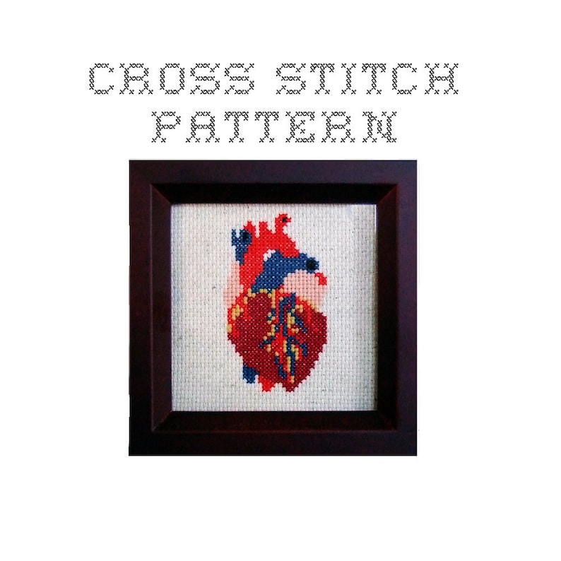 DIY Anatomical Heart .pdf Original Cross Stitch Pattern Instant Download image 1