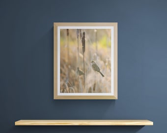 Impresión de pared de gorrión de pantano sobre juncos