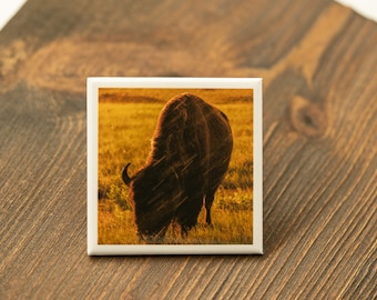 Imán para fotografía de vida silvestre, arte de parques nacionales (5 x 5 cm)