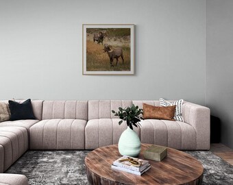 Impresión de pared "Doble problema del borrego cimarrón"