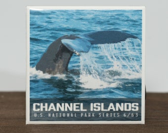 Imán del Parque Nacional de las Islas del Canal, fotografía artística de cola de ballena (5 x 5 cm)