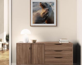 Impresión de pared de leones marinos tomando el sol en La Jolla