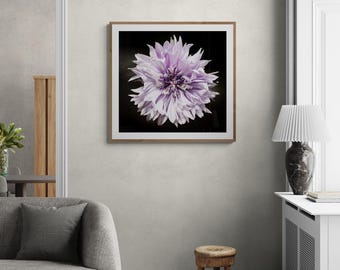 Impresión de pared 3 flores de San Juan