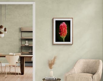 Impresión de pared Flores de San Juan 1