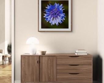 Impresión de pared Flores de San Juan 2