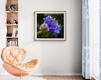 Impresión de pared Flores de San Juan 4
