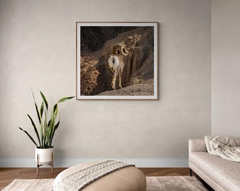 Impresión de pared Peachy Ram Bum