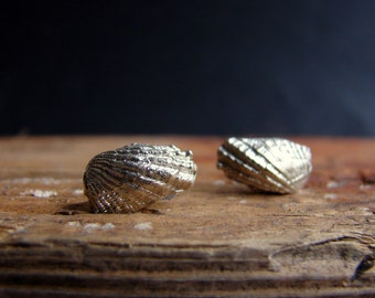 Angel Wings Mermaid Sea Shell Stud Earrings Sterling Silver