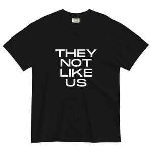 They Not Like Us Heavyweight T-Shirt
