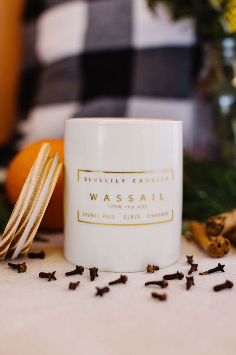 Melrose International Wassail Scented Soy Candle with Frosted Glass Holder (Set of 2)