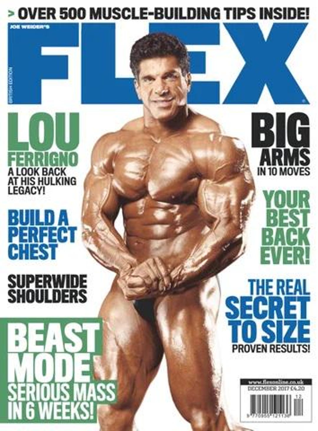 Muscle & Fitness Magazines on CD-R0M - Etsy