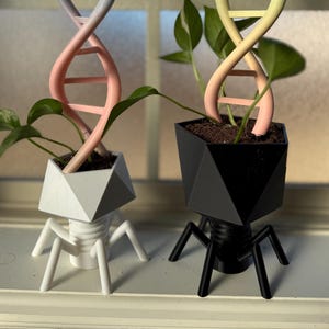 Maceta para virus con enrejado / Maceta + soporte para plantas