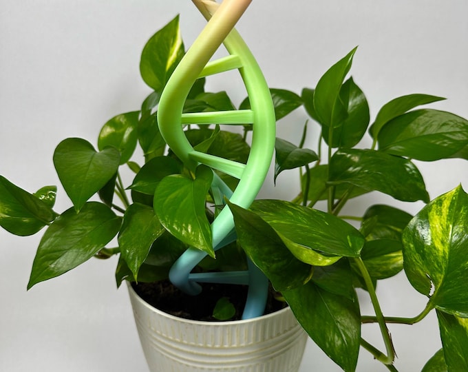Self Watering DNA Trellis for Indoor Climbing Plants | Modular Design for Easy Extension | Science and Biology Gift Idea