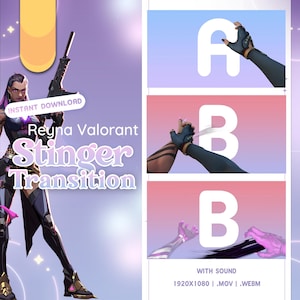 Animated REYNA VALORANT Stinger Transition OBS | Animated Stream Transition | Twitch Transition | stream transition valorant