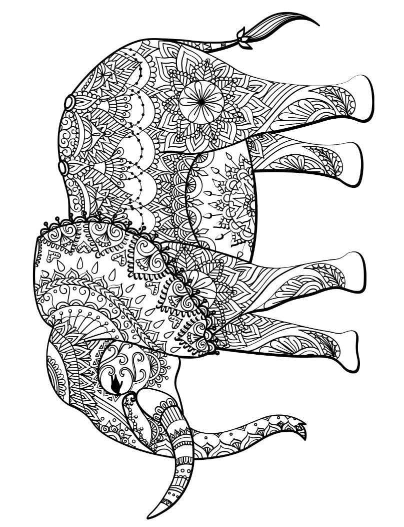 Animal Mandala Coloring Book – Printable Stress Relief PDF Printable ...
