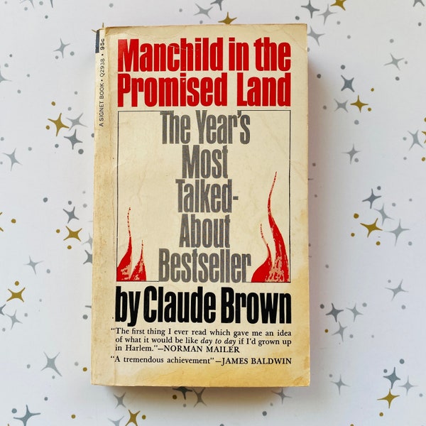 Manchild in the Promised Land by Claude Brown - 1965 Vintage Book - Autobiographical Novel - Black History - Memoirs & Biographies